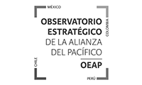 Logo vertical OEAP byn