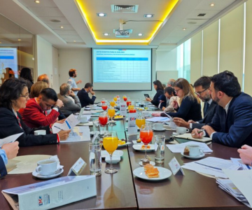 Director Jorge Sahd participa de segunda sesión de comité consultivo de minerales críticos