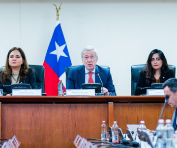Director Jorge Sahd participa de nueva sesión del Consejo de Política Exterior