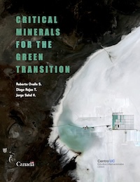 Critical minerals for the green transition