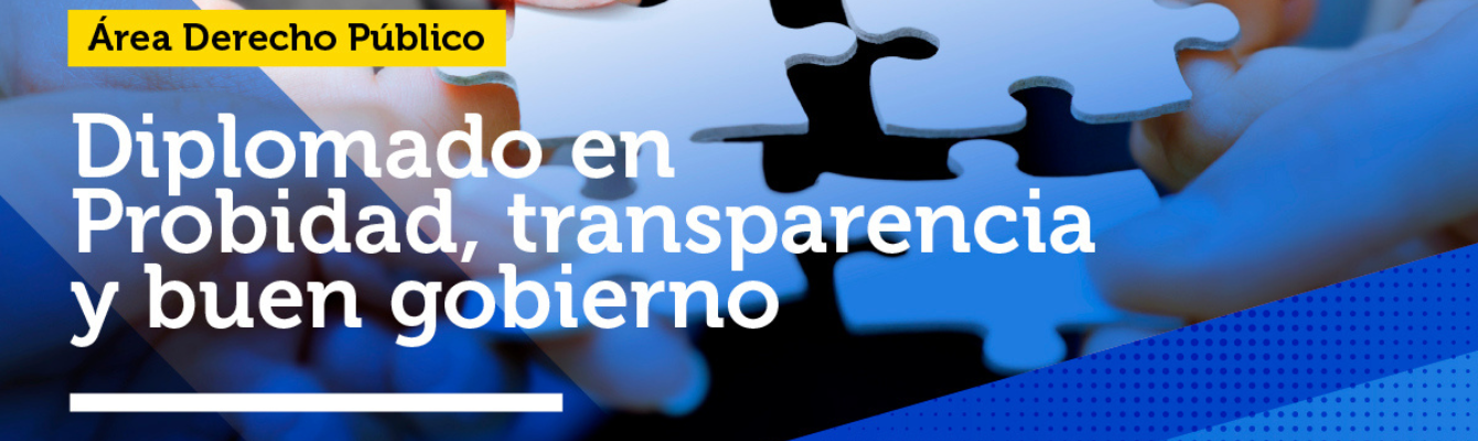 Postulaciones a la XVIII versión del diplomado en Probidad, Transparencia y Buen Gobierno 2025